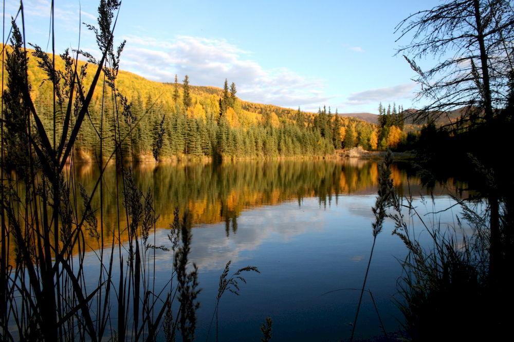 Chena Hot Springs Resort Fairbanks Zewnętrze zdjęcie