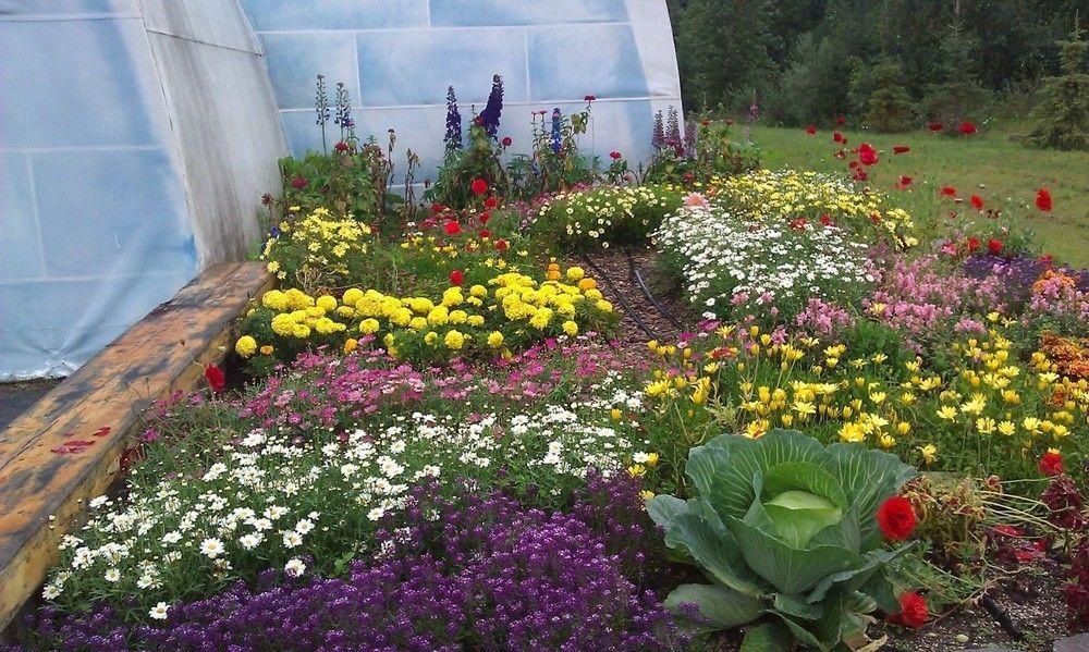 Chena Hot Springs Resort Fairbanks Zewnętrze zdjęcie