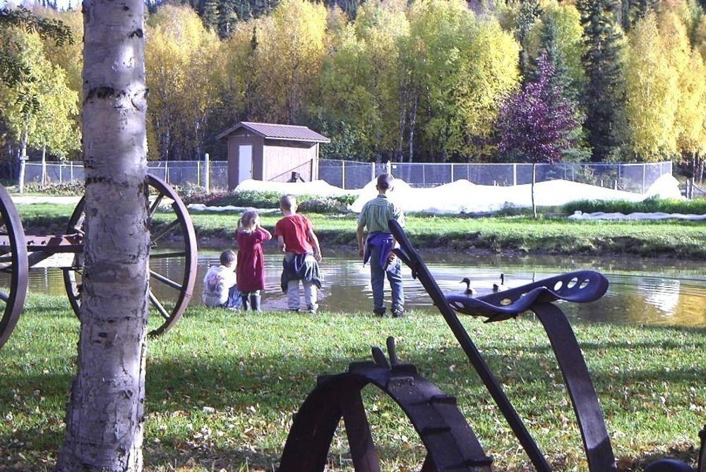 Chena Hot Springs Resort Fairbanks Zewnętrze zdjęcie